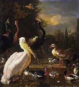 HONDECOETER, Melchior d A Pelican and Other Birds Near a Pool, Sweden oil painting artist